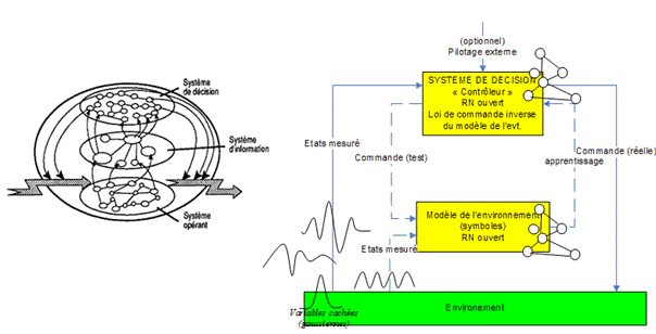 RN-systemique-control.jpg